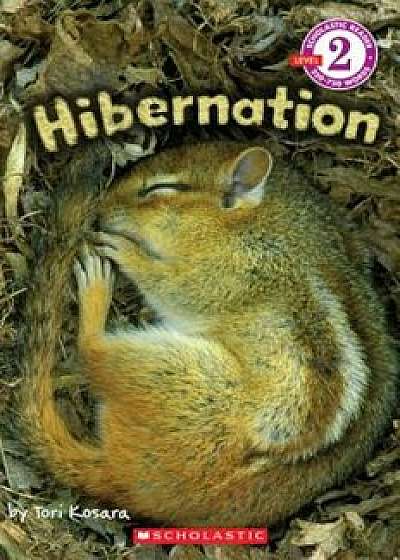 Hibernation, Paperback/Tori Kosara