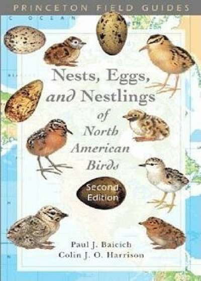 Nests, Eggs, and Nestlings of North American Birds S, Paperback/Paul J. Baicich