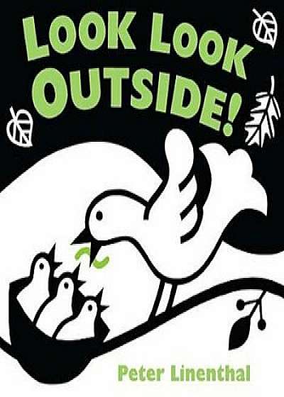 Look Look Outside!, Hardcover/Peter Linenthal