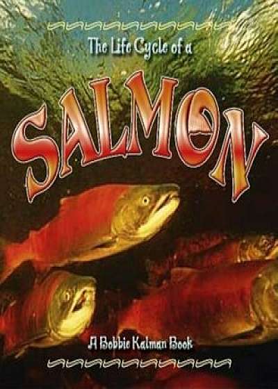 Salmon, Paperback/Bobbie Kalman