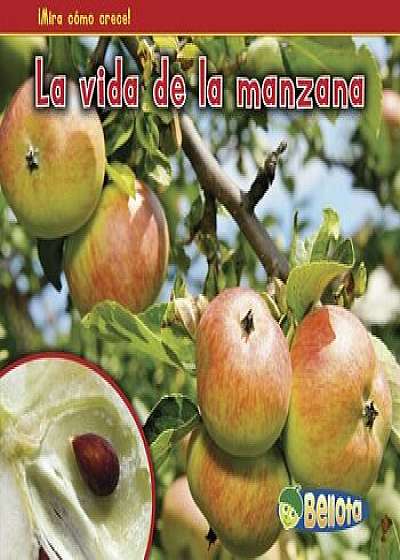 La Vida de la Manzana = The Life of an Apple, Paperback/Nancy Dickmann