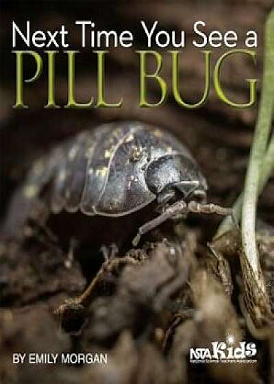 Next Time You See a Pill Bug, Paperback/Emily Morgan