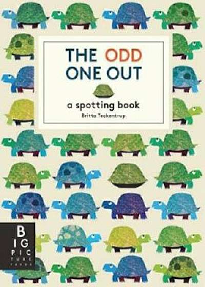 The Odd One Out: A Spotting Book, Hardcover/Britta Teckentrup