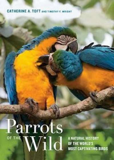 Parrots of the Wild: A Natural History of the World's Most Captivating Birds, Hardcover/Catherine A. Toft