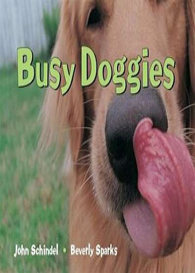 Busy Doggies, Hardcover/John Schindel