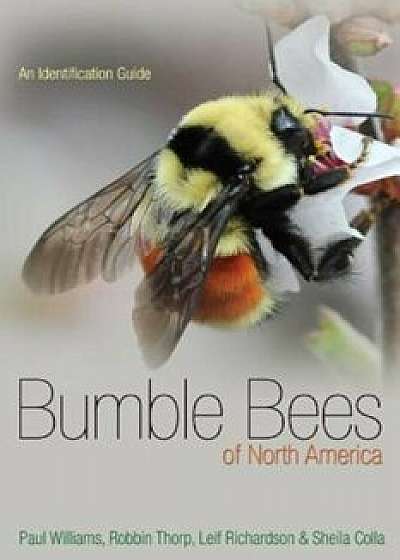 Bumble Bees of North America: An Identification Guide, Paperback/Paul H. Williams
