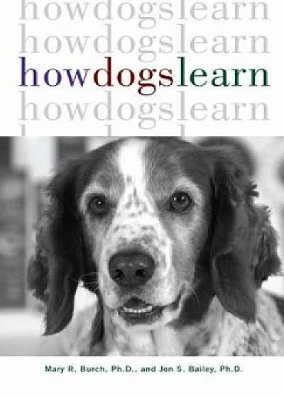 How Dogs Learn, Hardcover/Mary R. Burch