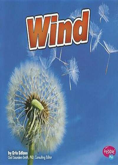 Coperta cărții Wind, Paperback/Erin Edison