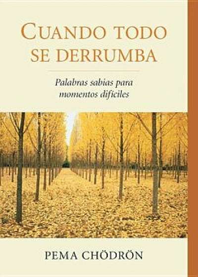 Cuando Todo Se Derrumba (When Things Fall Apart): Palabras Sabias Para Momentos Dificiles, Paperback/Pema Chodron