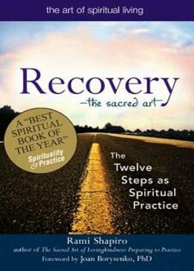 Recovery: Twelve Steps to a Spiritual Practice, Paperback/Rami Shapiro
