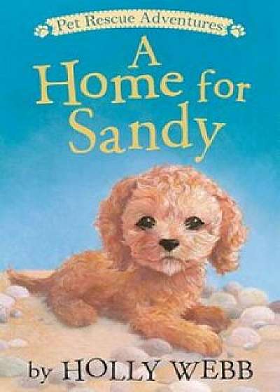 A Home for Sandy, Paperback/Holly Webb