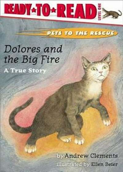 Dolores and the Big Fire: Dolores and the Big Fire, Paperback/Andrew Clements