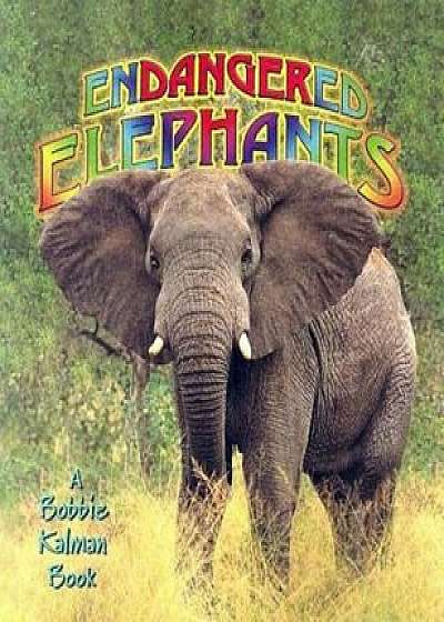 Endangered Elephants, Paperback/Bobbie Kalman