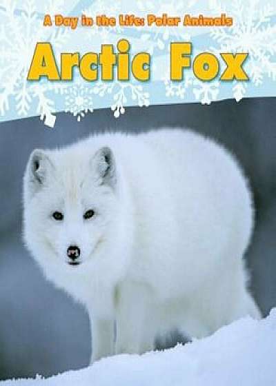 Arctic Fox, Paperback/Katie Marsico