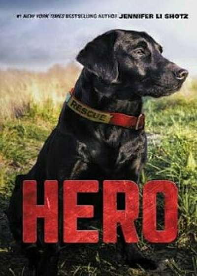 Hero, Hardcover/Jennifer Li Shotz