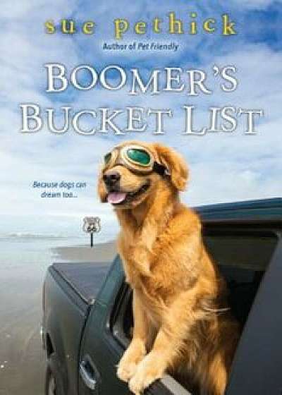 Boomer's Bucket List, Paperback/Sue Pethick