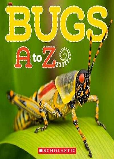 Bugs A to Z, Paperback/Kimberly Lawton Bayley