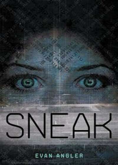Sneak, Paperback/Evan Angler