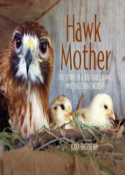 Hawk Mother: The Story of a Red-Tailed Hawk Who Hatched Chickens, Hardcover/Kara Hagedorn