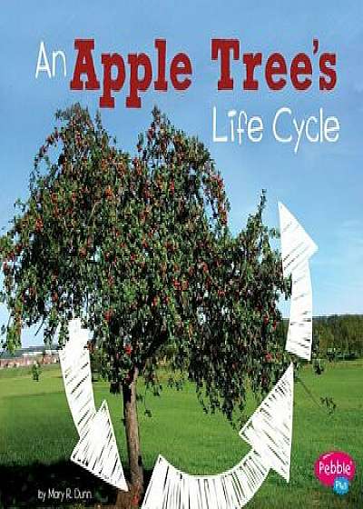 An Apple Tree's Life Cycle, Paperback/Mary R. Dunn