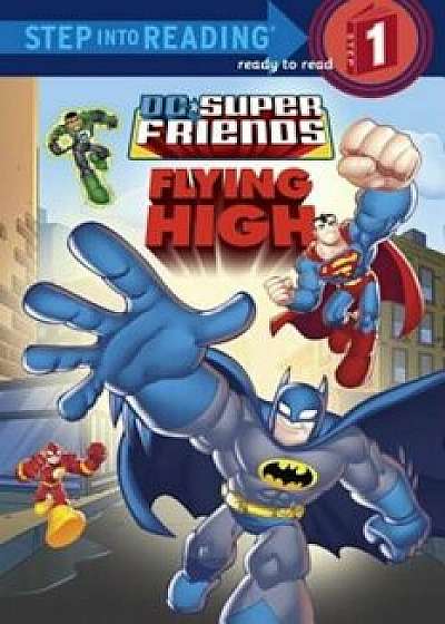 DC Super Friends: Flying High, Paperback/Nick Eliopulos
