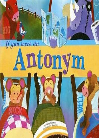 If You Were an Antonym, Paperback/Nancy Loewen