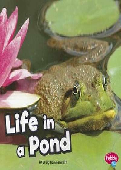 Life in the Pond, Paperback/Craig Hammersmith