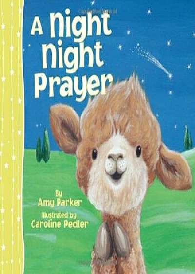 A Night Night Prayer, Hardcover/Amy Parker