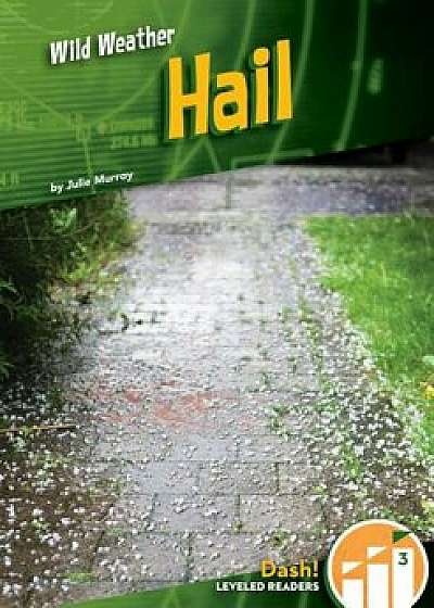 Hail, Hardcover/Julie Murray