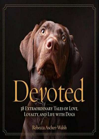 Devoted: 38 Extraordinary Tales of Love, Loyalty, and Life with Dogs, Hardcover/Rebecca Ascher-Walsh