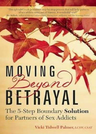 Moving Beyond Betrayal: The 5-Step Boundary Solution for Partners of Sex Addicts, Paperback/Vicki Tidwell Palmer