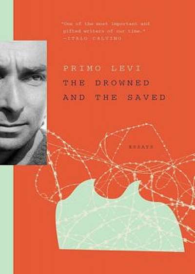 The Drowned and the Saved, Paperback/Primo Levi