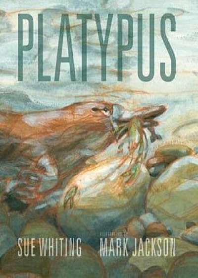 Platypus, Hardcover/Sue Whiting