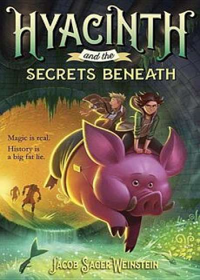 Hyacinth and the Secrets Beneath, Paperback/Jacob Sager Weinstein