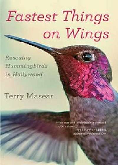 Fastest Things on Wings: Rescuing Hummingbirds in Hollywood, Paperback/Terry Masear