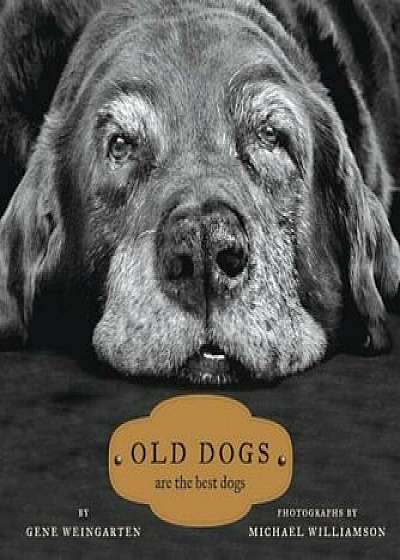 Old Dogs: Are the Best Dogs, Hardcover/Michael S. Williamson
