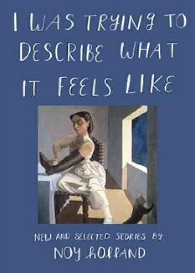 I Was Trying to Describe What It Feels Like: New and Selected Stories, Hardcover/Noy Holland