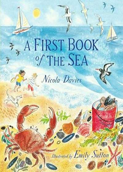 A First Book of the Sea, Hardcover/Nicola Davies