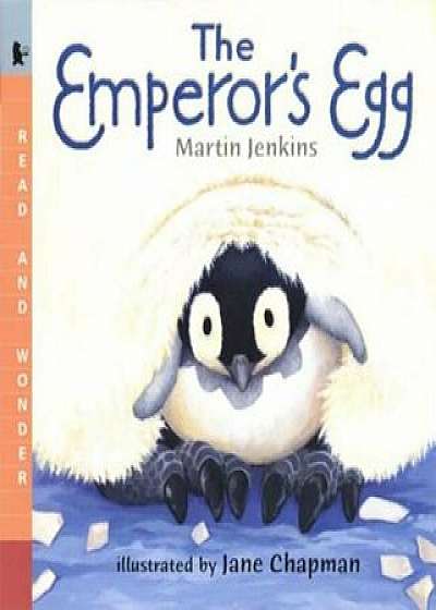 The Emperor's Egg, Paperback/Martin Jenkins