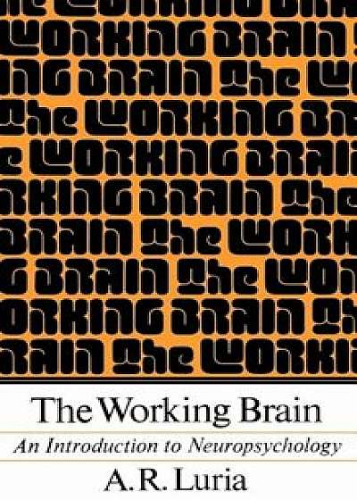 The Working Brain: An Introduction to Neuropsychology, Paperback/Alexander R. Luria