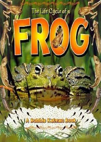 The Life Cycle of a Frog, Paperback/Bobbie Kalman