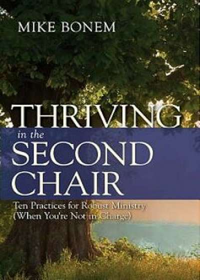 Thriving in the Second Chair: Ten Practices for Robust Ministry (When You're Not in Charge), Paperback/Mike Bonem
