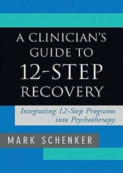 A Clinician's Guide to 12-Step Recovery: Integrating 12-Step Programs Into Psychotherapy, Hardcover/Mark Schenker