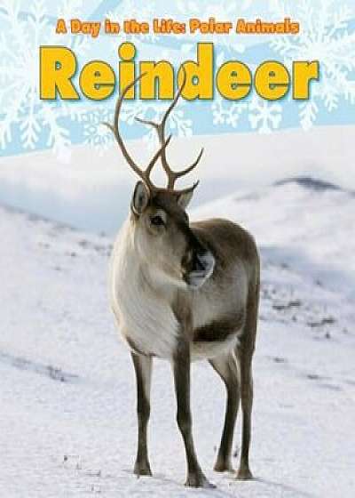 Reindeer, Paperback/Katie Marsico