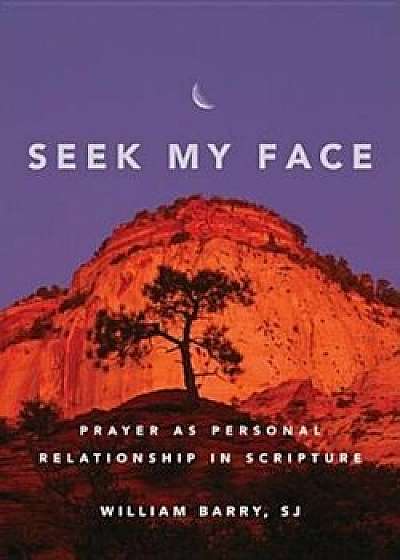 Seek My Face: Prayer as Personal Relationship in Scripture, Paperback/William A. Barry