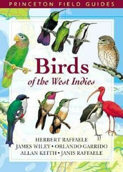 Birds of the West Indies, Paperback/Herbert A. Raffaele