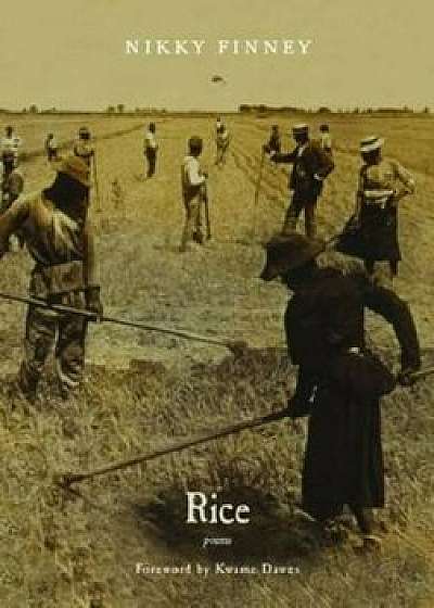 Rice, Paperback/Nikky Finney