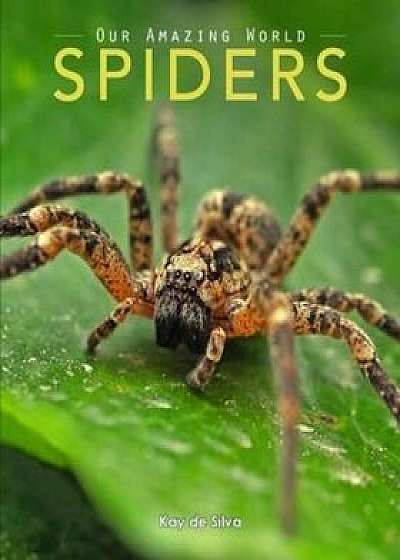 Spiders: Amazing Pictures & Fun Facts on Animals in Nature, Paperback/Kay De Silva
