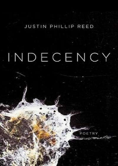 Indecency, Paperback/Justin Phillip Reed