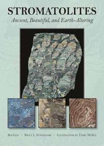 Stromatolites: Ancient, Beautiful, and Earth-Altering, Paperback/R. J. Leis